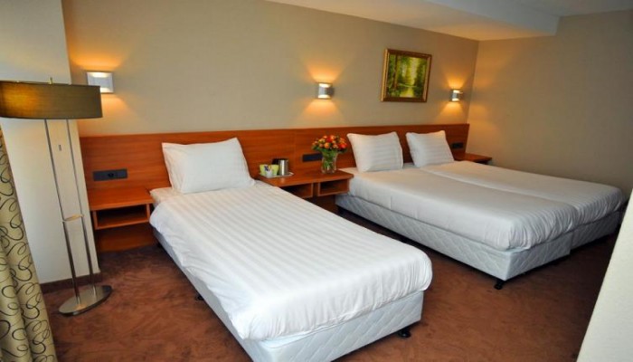 Poza pentru Hotel Central Park 229-1501852043 Hotel Central Park poza 3